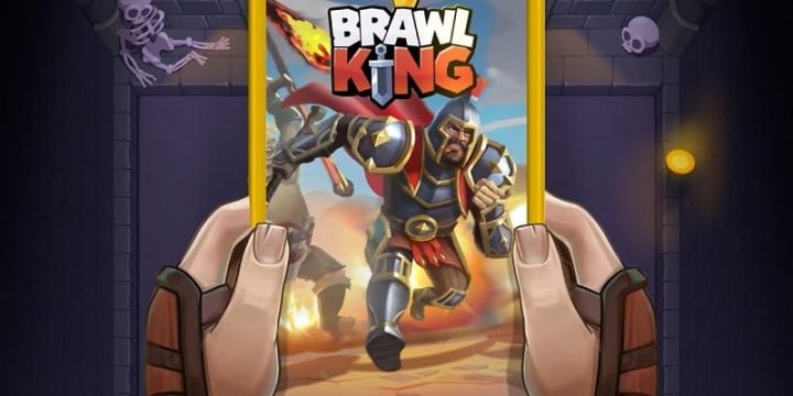 Brawl King